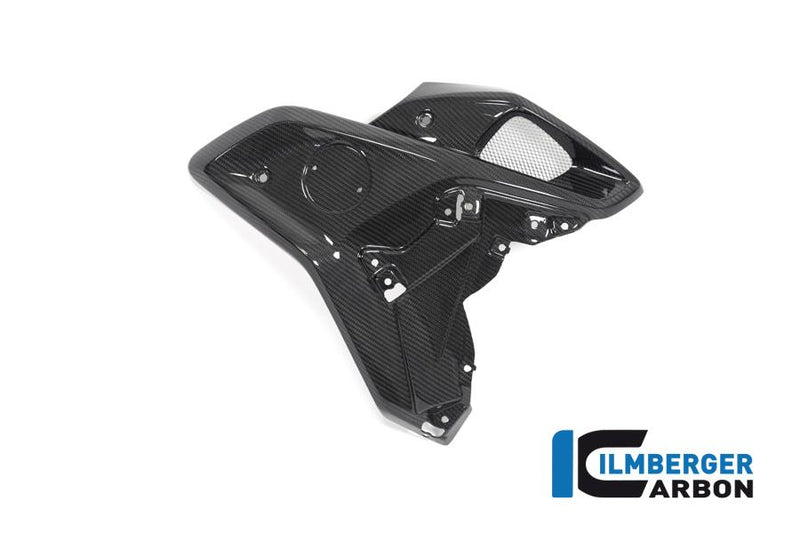 Ilmberger WKR.025.GS19T.K BMW R 1250 GS Ilmberger carbon luchtinlaatafdekking Kuipdelen